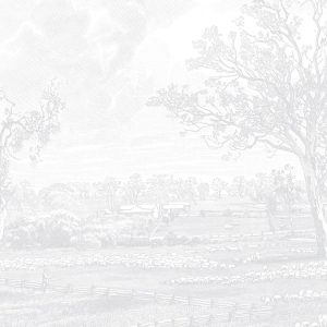 Australian-Homestead--Light-Grey-02