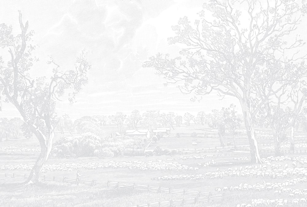 Australian-Homestead--Light-Grey-02