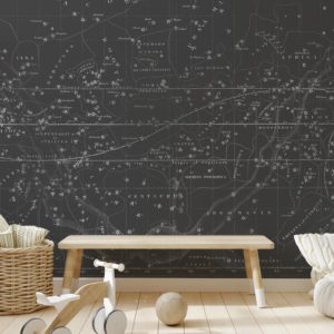 Celestial Star Map - Grey | Grafico Melbourne