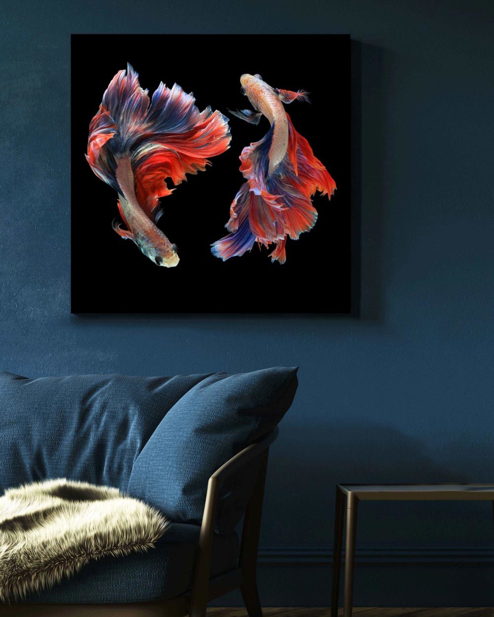 Siamese Swimmer Type 3 |Stretched Canvas | Printed Panel | Grafico Melbourne