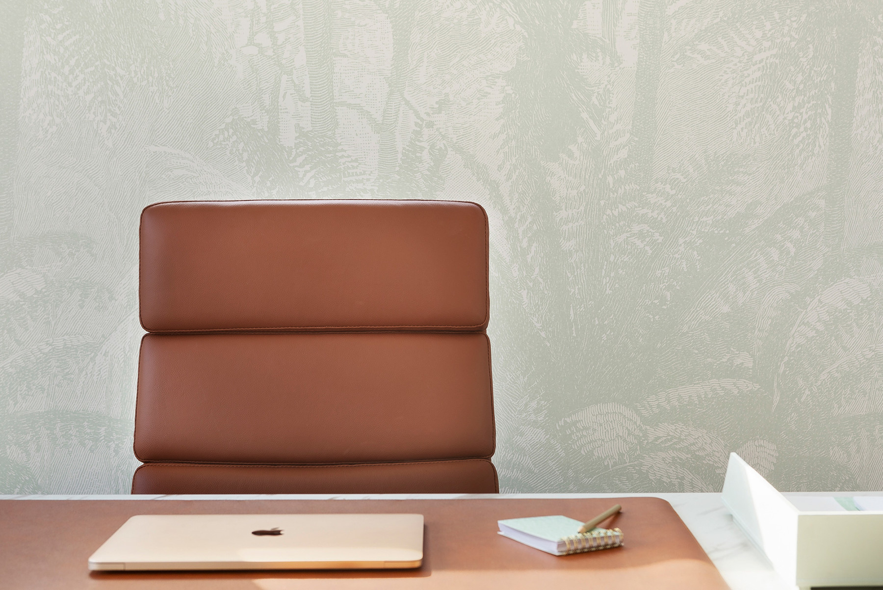 Fern Jungle - Light Sage Green Wallpaper | Grafico Melbourne Fern Jungle - Light Sage Green Wallpaper | Grafico Melbourne