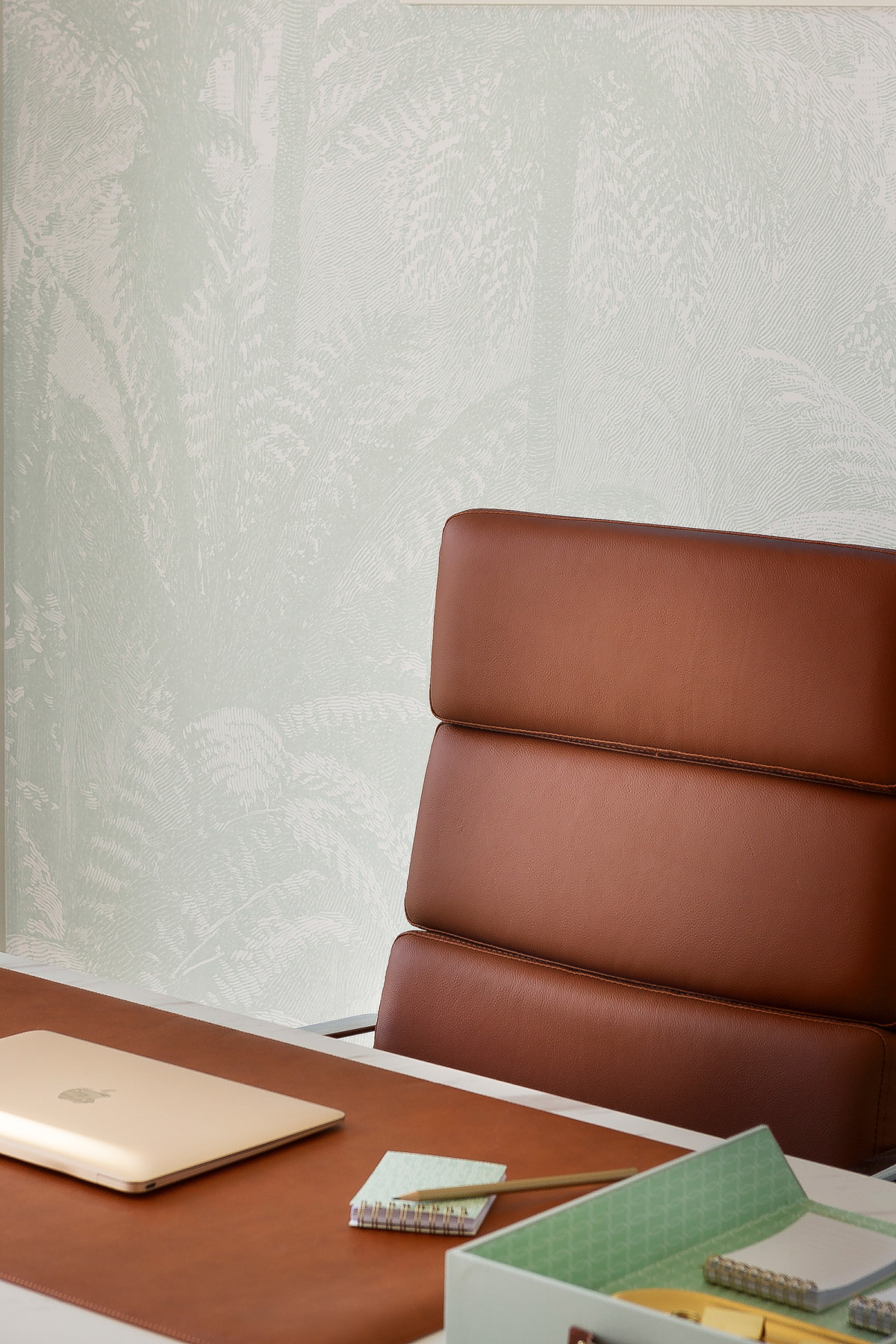 FernJungle_LightSageGreen5 FernJungle_LightSageGreen5