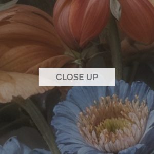 Midnight-Bloom-03 Midnight-Bloom-03