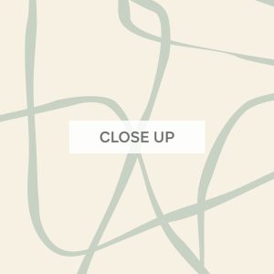 Squiggle-Sage-Green--03 Squiggle-Sage-Green--03