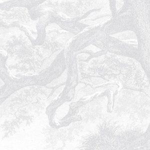 TwistedTrunk-02 TwistedTrunk-02