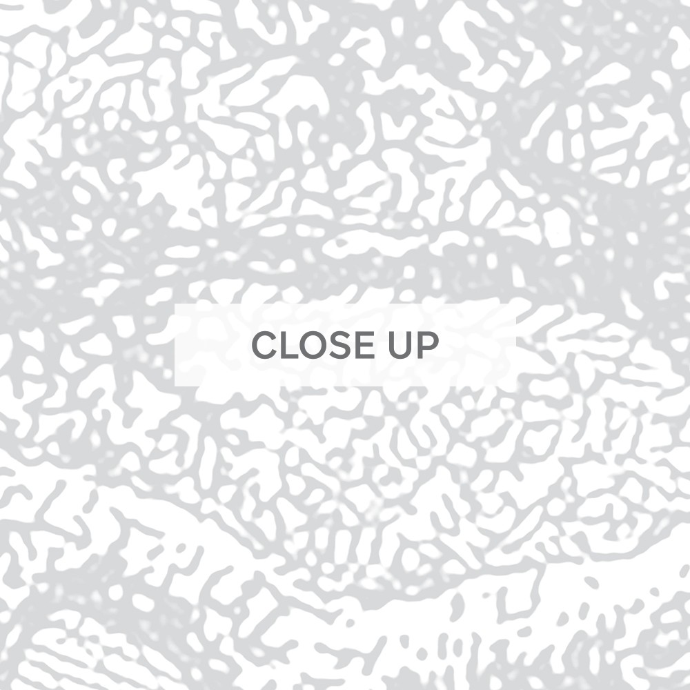 TwistedTrunk-03 TwistedTrunk-03