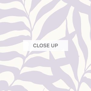 WonderingPalm-Lavender-02