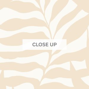 WonderingPalm-Natural-03 WonderingPalm-Natural-03