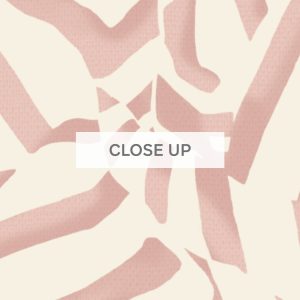 ZebraAbstract-Blush-03 ZebraAbstract-Blush-03